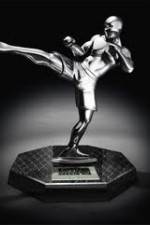 Watch World MMA Awards 2010 Vodlocker