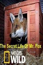 Watch The Secret Life of Mr. Fox Vodlocker