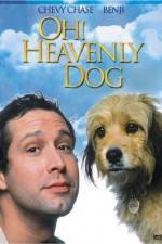 Watch Oh Heavenly Dog Vodlocker
