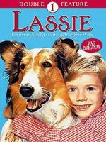 Watch Lassie: A New Beginning Vodlocker