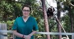 Watch Sue Perkins and the Chimp Sanctuary Vodlocker