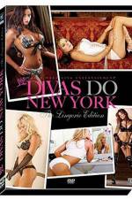 Watch WWE Divas Do New York Vodlocker