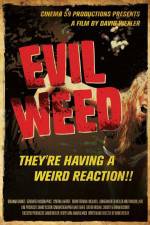 Watch Evil Weed Vodlocker