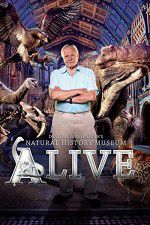 Watch David Attenborough\'s Natural History Museum Alive Vodlocker