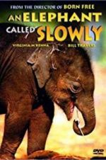 Watch An Elephant Called Slowly Vodlocker