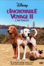Watch Homeward Bound II Lost in San Francisco Vodlocker