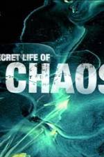 Watch The Secret Life of Chaos Vodlocker