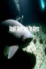 Watch National Geographic Wild Sixgill Shark Into The Abyss Vodlocker