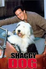 Watch The Shaggy Dog Vodlocker