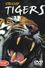 Watch Swamp Tigers Vodlocker