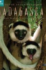 Watch Madagascar Island of Marvels Vodlocker