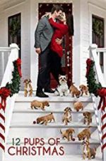 Watch 12 Pups of Christmas Vodlocker