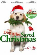Watch The Dog Who Saved Christmas Vodlocker