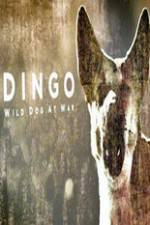 Watch Dingo Wild Dog at War Vodlocker