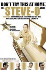 Watch Don't Try This at Home The Steve-O Video Vodlocker