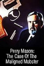 Watch Perry Mason: The Case of the Maligned Mobster Vodlocker
