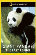 Watch National Geographic Giant Pandas The Last Refuge Vodlocker