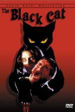 Watch Black Cat Vodlocker