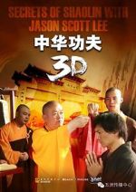Watch Secrets of Shaolin with Jason Scott Lee Vodlocker