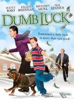 Watch Dumb Luck Vodlocker
