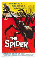Watch The Spider Vodlocker