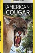 Watch National Geographic - American Cougar Vodlocker