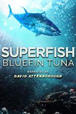 Watch Superfish Bluefin Tuna Vodlocker
