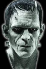 Watch Frankenstein Birth of a Monster Vodlocker