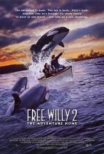 Watch Free Willy 2: The Adventure Home Vodlocker