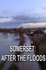 Watch Somerset: After the Floods Vodlocker