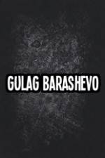 Watch Gulag Barashevo Vodlocker