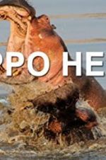Watch Hippo Hell Vodlocker