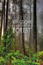 Watch National Geographic Kingdom of the Forest Vodlocker