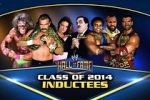 Watch WWE Hall of Fame Vodlocker