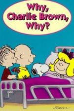 Watch Why Charlie Brown Why Vodlocker