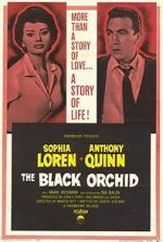 Watch The Black Orchid Vodlocker