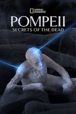 Watch Pompeii: Secrets of the Dead (TV Special 2019) Vodlocker