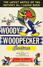 Watch The Woody Woodpecker Polka Vodlocker