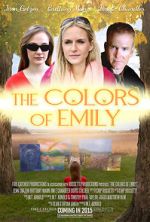Watch The Colors of Emily Vodlocker