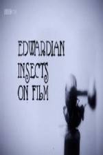 Watch Edwardian Insects on Film Vodlocker