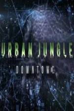 Watch National Geographic Wild Urban Jungle Downtown Vodlocker