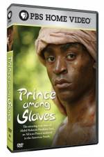 Watch Prince Among Slaves Vodlocker