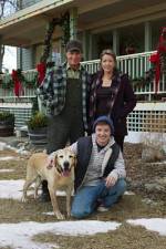 Watch Hallmark Hall of Fame A Dog Named Christmas Vodlocker