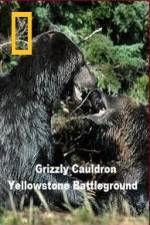 Watch National Geographic Grizzly Cauldron Vodlocker
