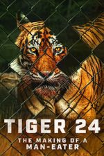 Watch Tiger 24 Vodlocker