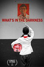 Watch What\'s in the Darkness Vodlocker
