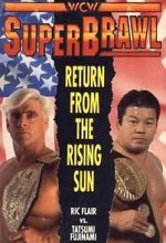 Watch WCW SuperBrawl I Vodlocker