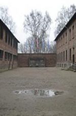 Watch Made in Auschwitz: The Untold Story of Block 10 Vodlocker