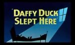 Watch Daffy Duck Slept Here (Short 1948) Vodlocker