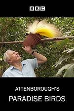Watch Attenborough's Paradise Birds Vodlocker